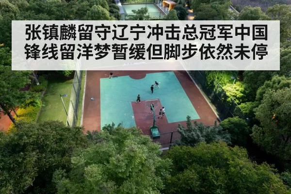张镇麟留守辽宁冲击总冠军中国锋线留洋梦暂缓但脚步依然未停