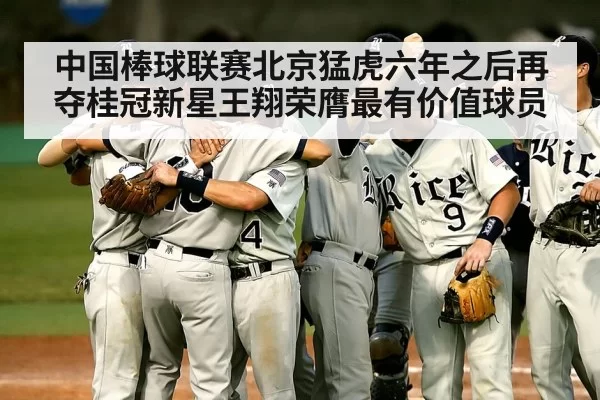 中国棒球联赛北京猛虎六年之后再夺桂冠新星王翔荣膺最有价值球员
