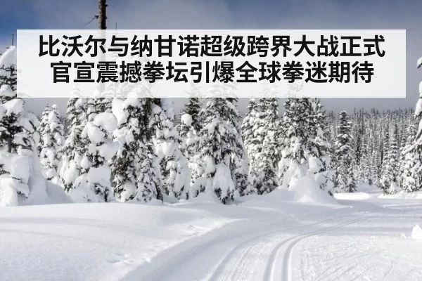 比沃尔与纳甘诺超级跨界大战正式官宣震撼拳坛引爆全球拳迷期待
